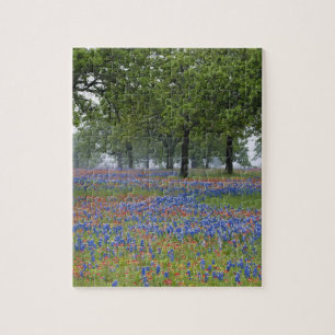 Texas, Texas Hill Country, Texaspenseel en Legpuzzel