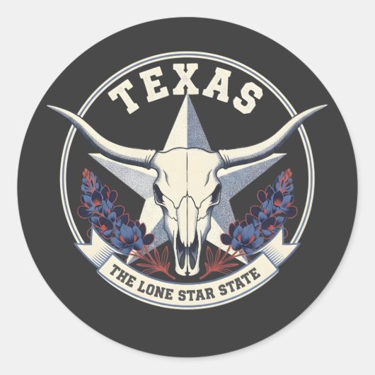 Texas: The Lone Star State Ronde Sticker (Voorkant)