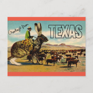 Texas Travel Greetings Briefkaart - Vintage Travel