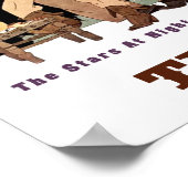 Texas travel poster (Coin)