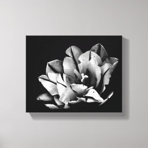 Texas Tulips Canvas Afdrukken