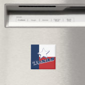 Texas USA State Travel Souvenir Koelkast Magneet (Insitu (Vaatwasser))