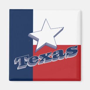 Texas USA State Travel Souvenir Koelkast Magneet