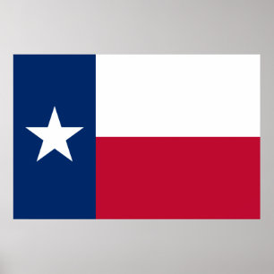 Texas Vlag: Longhorns, de Texaanse Lone Star Staat Poster