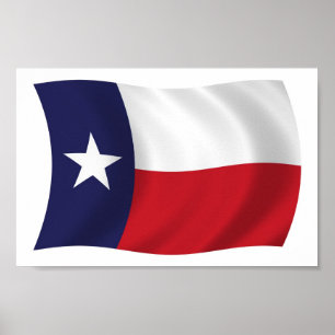 Texas Vlag Poster Print