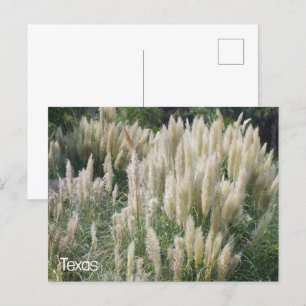 Texas Wild Flowers Briefkaart