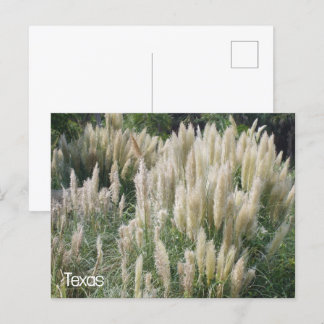 Texas Wild Flowers Briefkaart