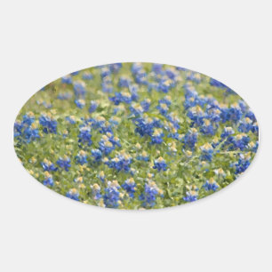 Texas Wildflower Bluebonnets Digital Painting Ovale Sticker