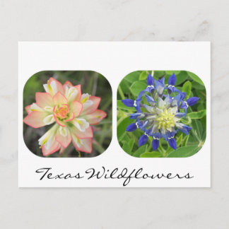 Texas Wildflower Briefkaart