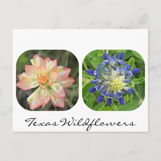 Texas Wildflower Briefkaart (Voorkant)