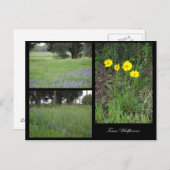 Texas Wildflower Briefkaart (Voorkant / Achterkant)