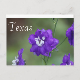 Texas Wildflower Briefkaart-Paarse Wildflower Briefkaart