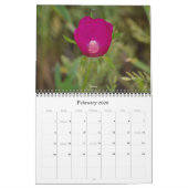 Texas Wildflower Fotokalender Kalender (Feb 2026)