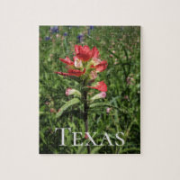 Texas Wildflower