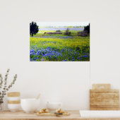 Texas Wildflower Poster (Keuken)