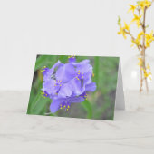 Texas Wildflowers Kaart (Gele Bloem)