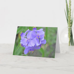 Texas Wildflowers Kaart