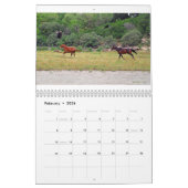 Texas'Natural Beauty 2011 Kalender (Feb 2026)