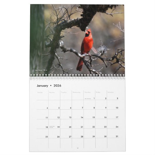 Texas'Natural Beauty 2011 Kalender (Jan 2026)