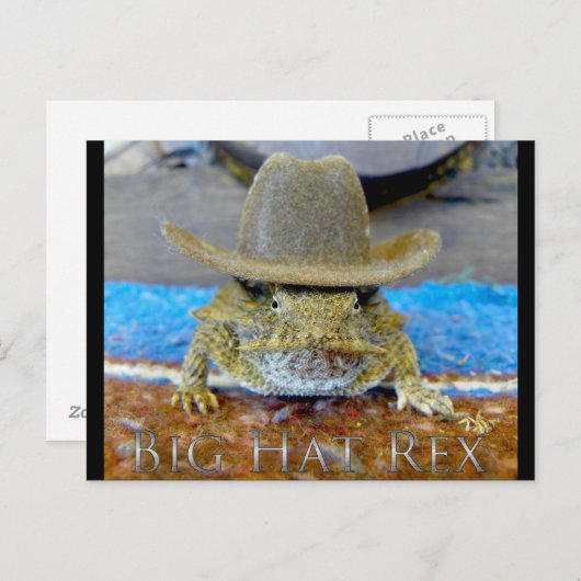 Texe's neef...Ig pet Ex Briefkaart (Voorkant / Achterkant)