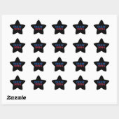 Texit 2024 Texas Ster Sticker (Vel)