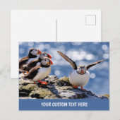 Texte personnalisé Puffin carte postale (Devant / Derrière)