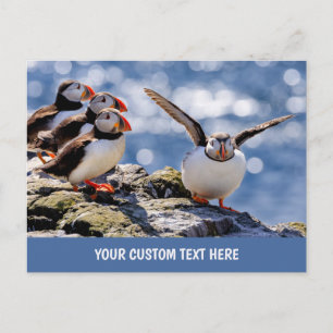 Texte personnalisé Puffin carte postale