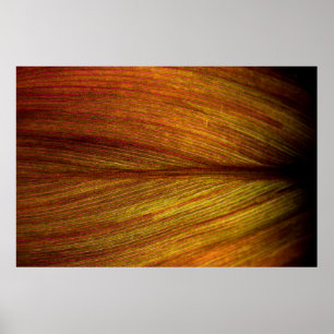 Textielblad natuur botany macro poster