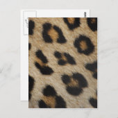 Textielpatroon van leopard Fur Briefkaart (Voorkant / Achterkant)