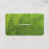 Texture de feuilles/Logo Cartes de visite chiropra (Dos)