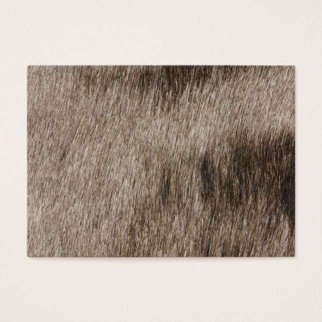 Texture de fourrure animale (Devant)