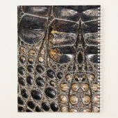 Texture de la peau de l'alligator Brown américaine (Dos)