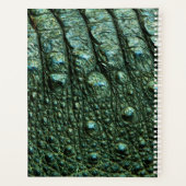 Texture de la peau de l'alligator vert (Dos)