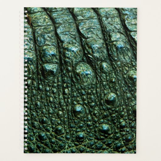 Texture de la peau de l'alligator vert (Devant)