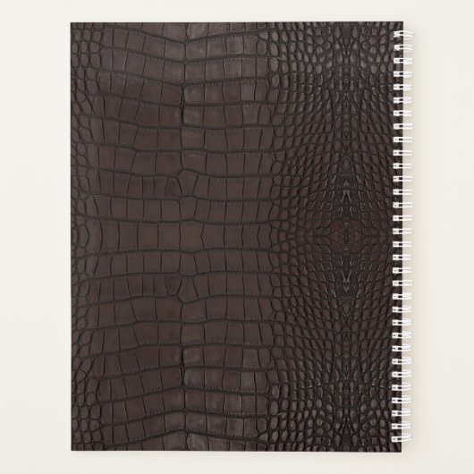 Texture de l'alligator Brown (Dos)