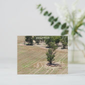 Texture lisse de carte postale (Debout devant)