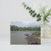 texture lisse de carte postale (Debout devant)