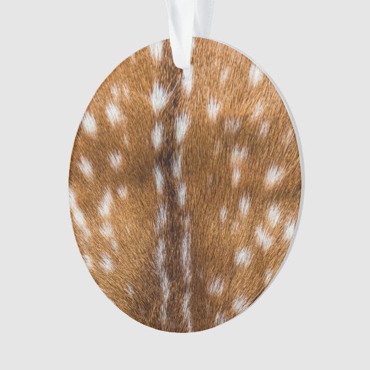 Texture repérée de fourrure de cerfs communs (devant)