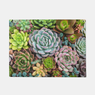 Texture succulente de la nature Tapis de porte