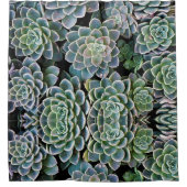 Texture succulente Douche rideau (Devant)