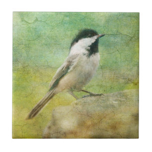 Textured Chickadee Tegeltje
