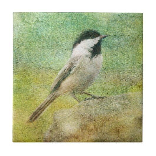 Textured Chickadee Tegeltje (Voorkant)