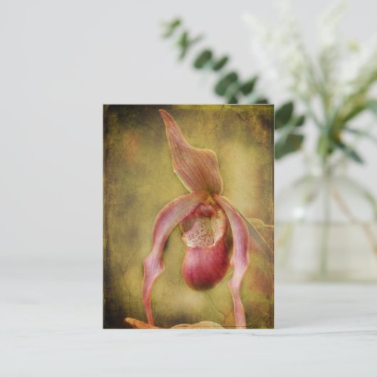 Textured Lady Slipper Orchid Briefkaart (Staand voorkant)