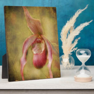 Textured Lady Slipper Orchid Fotoplaat