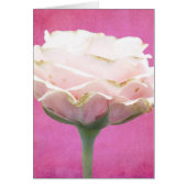 Textured Pink Rose All Uscard (Devant)