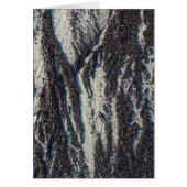 textures de plage avec algues (Devant)