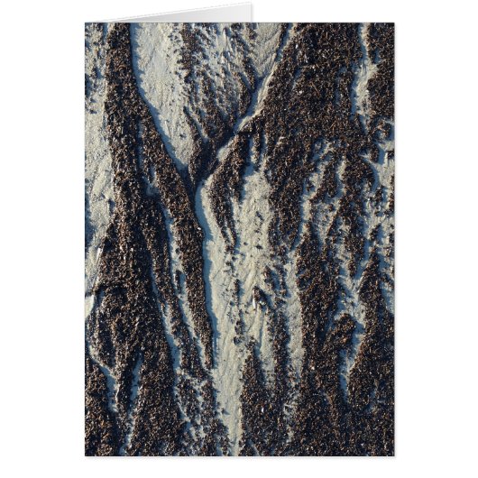 textures de plage avec algues (Devant)