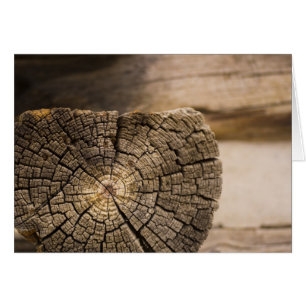 Textures de vieux Cabines