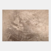 Textuur bruin beige Tan Grunge Rustic Inpakpapier Vel (Voorkant)