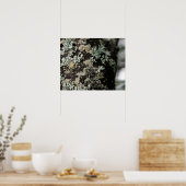 Textuur en patroon van korstmossen op boomstam poster (Keuken)